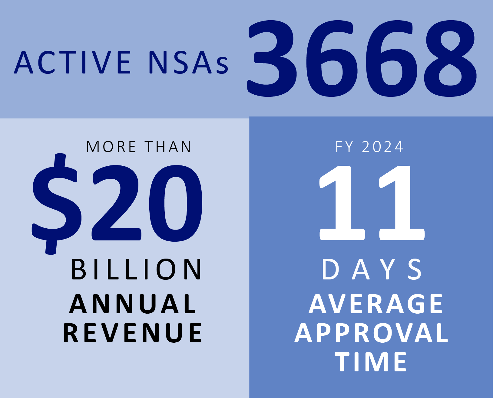 Image Active NSAs